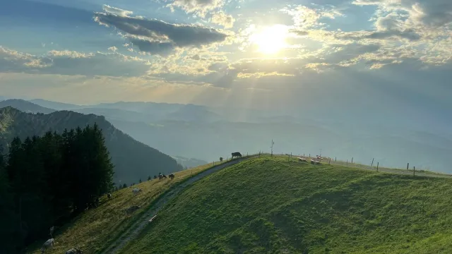 Bergwiese mit Sonnenstrahlen (Foto: Romy Bill) Bergwiese mit Sonnenstrahlen (Foto: Romy Bill)