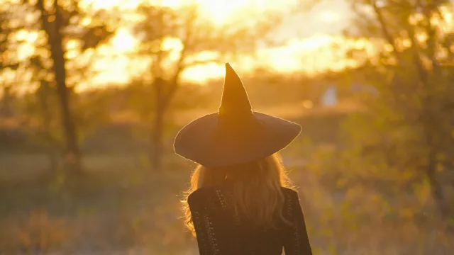 Wahlkurs Wicked (Foto: pexels) Wahlkurs Wicked (Foto: pexels)